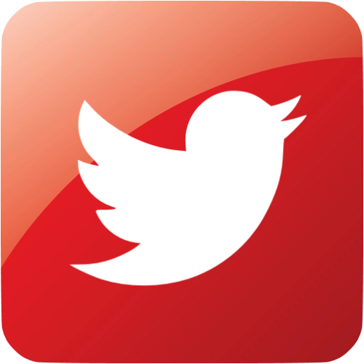 shared twitter